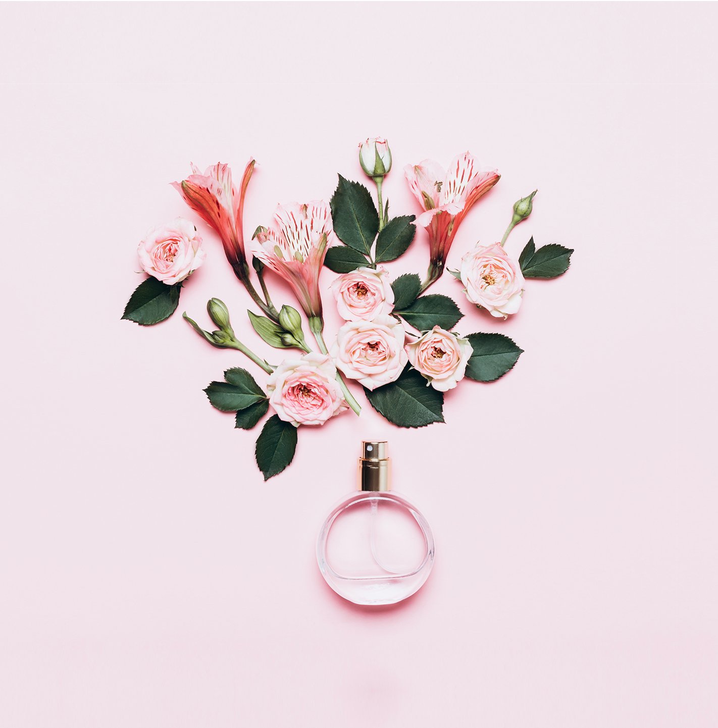 Composition florale sur fond rose avec flacon de parfum