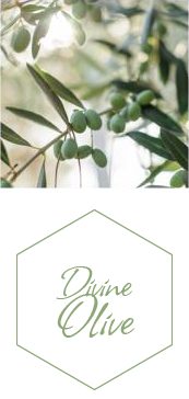 Collection Divine Olive Jeanne En Provence