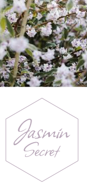 Collection Jasmin Secret Jeanne En Provence