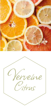 Collection Verveine Agrumes Jeanne En Provence